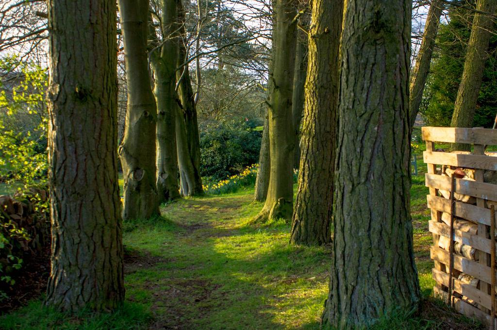 Robin Hood Farm B&B Baslow Dış mekan fotoğraf