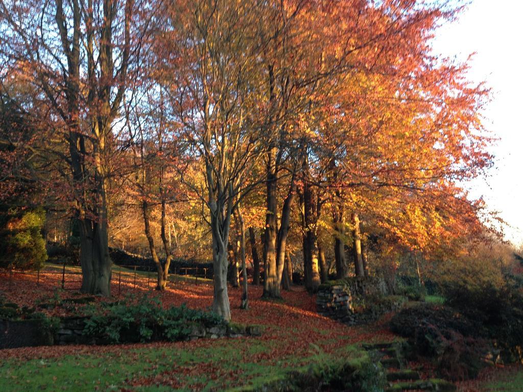 Robin Hood Farm B&B Baslow Dış mekan fotoğraf