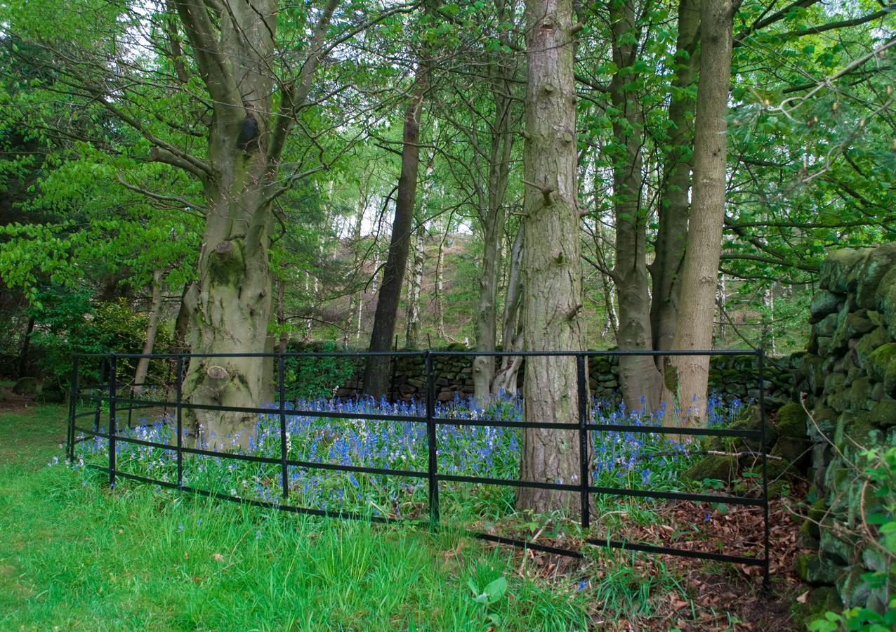 Robin Hood Farm B&B Baslow Dış mekan fotoğraf